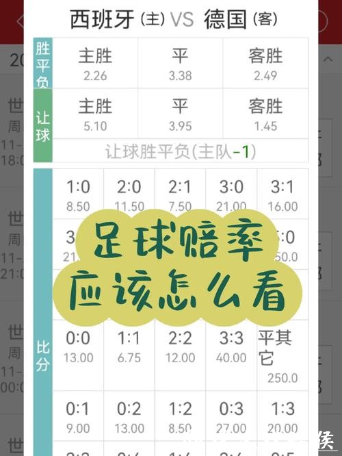 世界杯下注APP新手常见问题解答大全 世界杯下注APP新手常见问题解答大全
